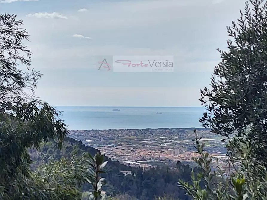 Immagine 1 di Casa semindipendente in vendita  a Pietrasanta