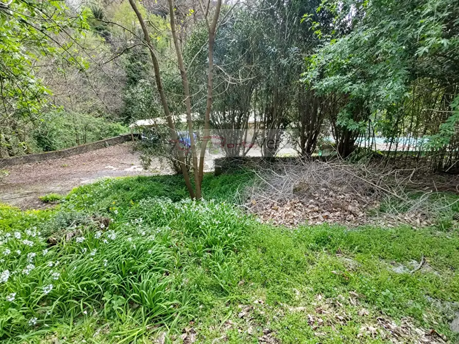 Immagine 10 di Casa semindipendente in vendita  a Pietrasanta