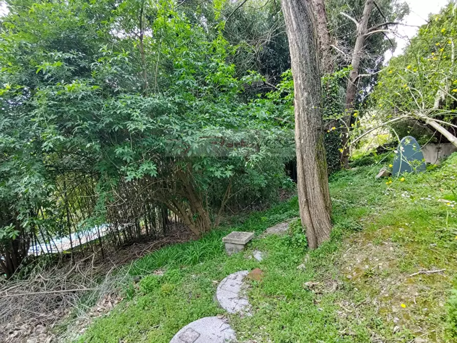 Immagine 11 di Casa semindipendente in vendita  a Pietrasanta