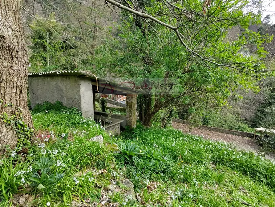 Immagine 12 di Casa semindipendente in vendita  a Pietrasanta