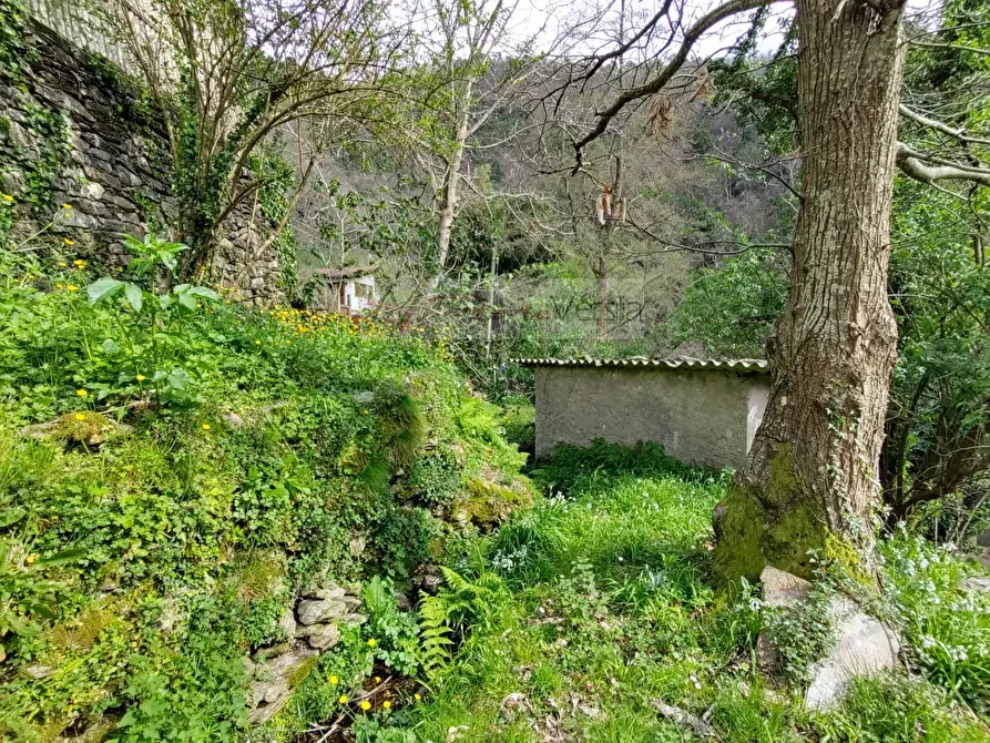 Immagine 16 di Casa semindipendente in vendita  a Pietrasanta