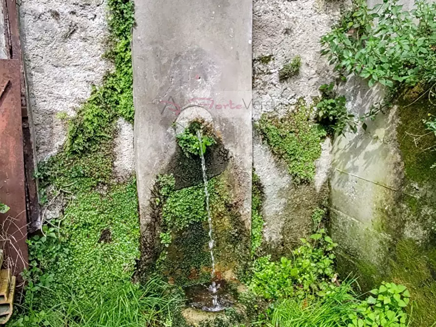 Immagine 17 di Casa semindipendente in vendita  a Pietrasanta