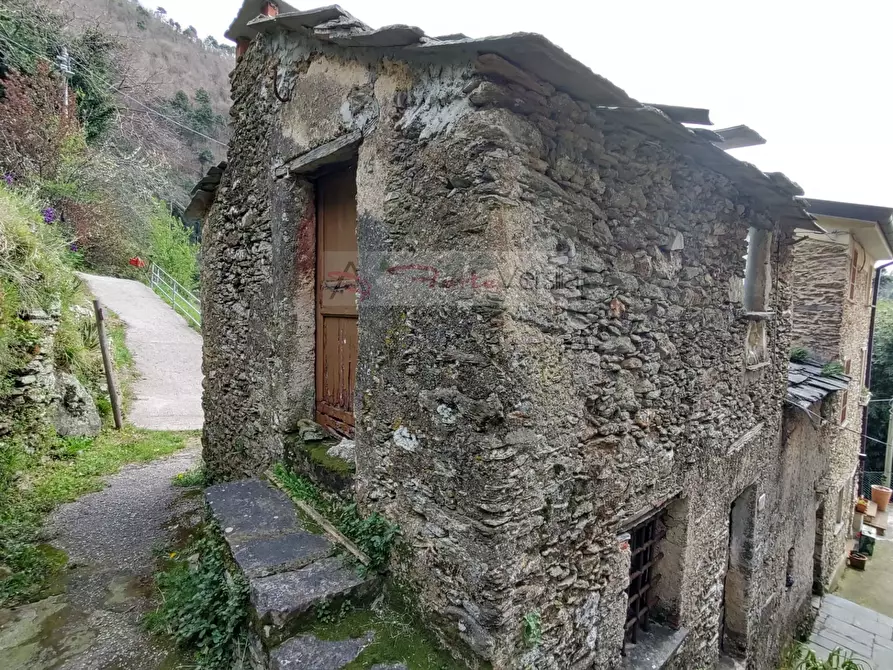 Immagine 4 di Casa semindipendente in vendita  a Pietrasanta