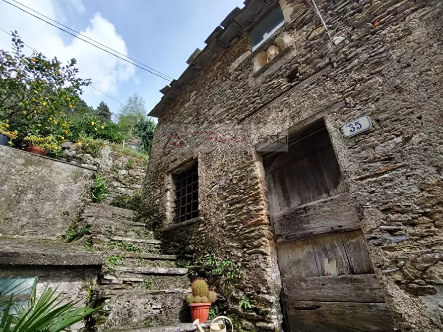 Immagine 5 di Casa semindipendente in vendita  a Pietrasanta