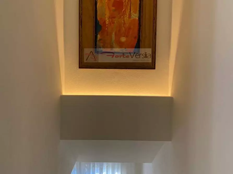 Immagine 7 di Villa in affitto  a Forte Dei Marmi