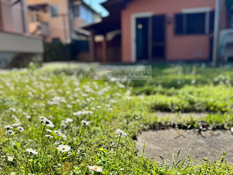 Immagine 49 di Villa in vendita  a Pietrasanta