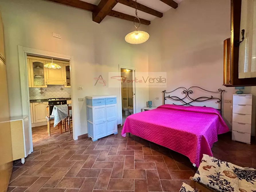 Immagine 57 di Villa in vendita  a Pietrasanta