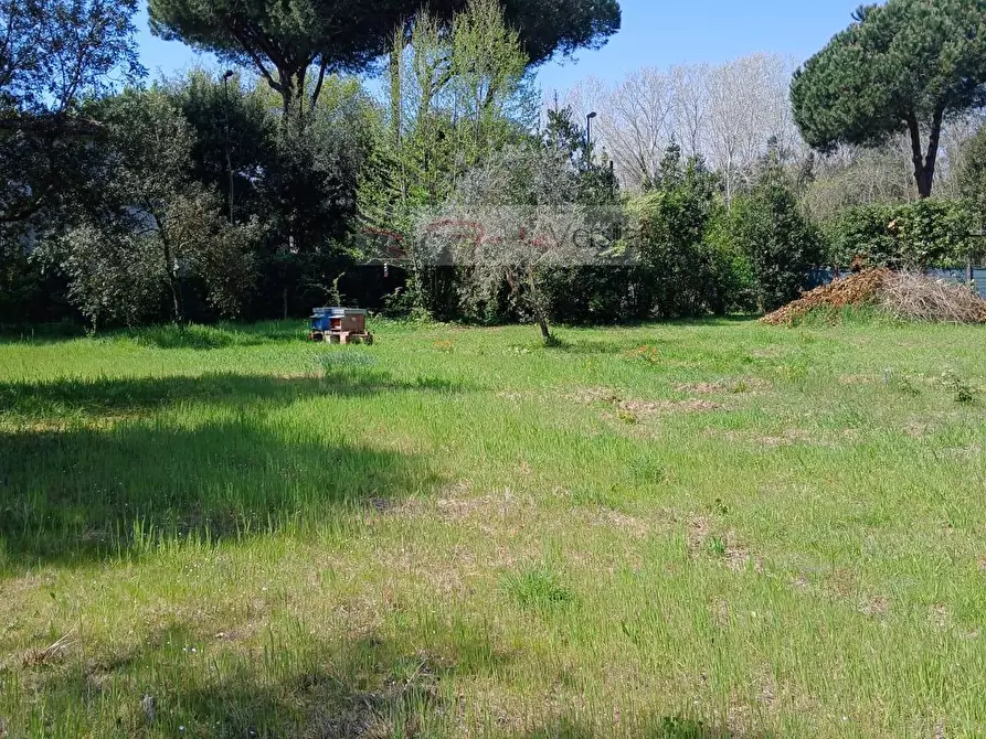 Immagine 3 di Terreno agricolo in vendita  a Montignoso