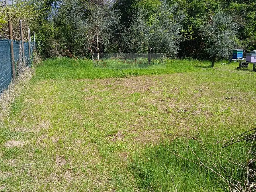 Immagine 8 di Terreno agricolo in vendita  a Montignoso