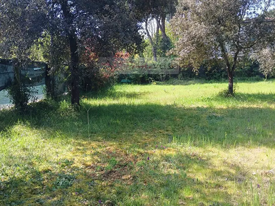 Immagine 9 di Terreno agricolo in vendita  a Montignoso
