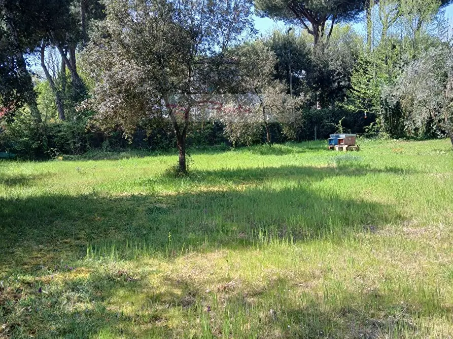 Immagine 10 di Terreno agricolo in vendita  a Montignoso