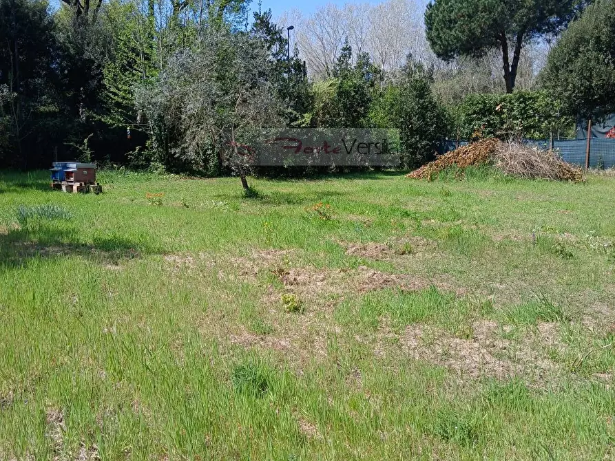Immagine 11 di Terreno agricolo in vendita  a Montignoso