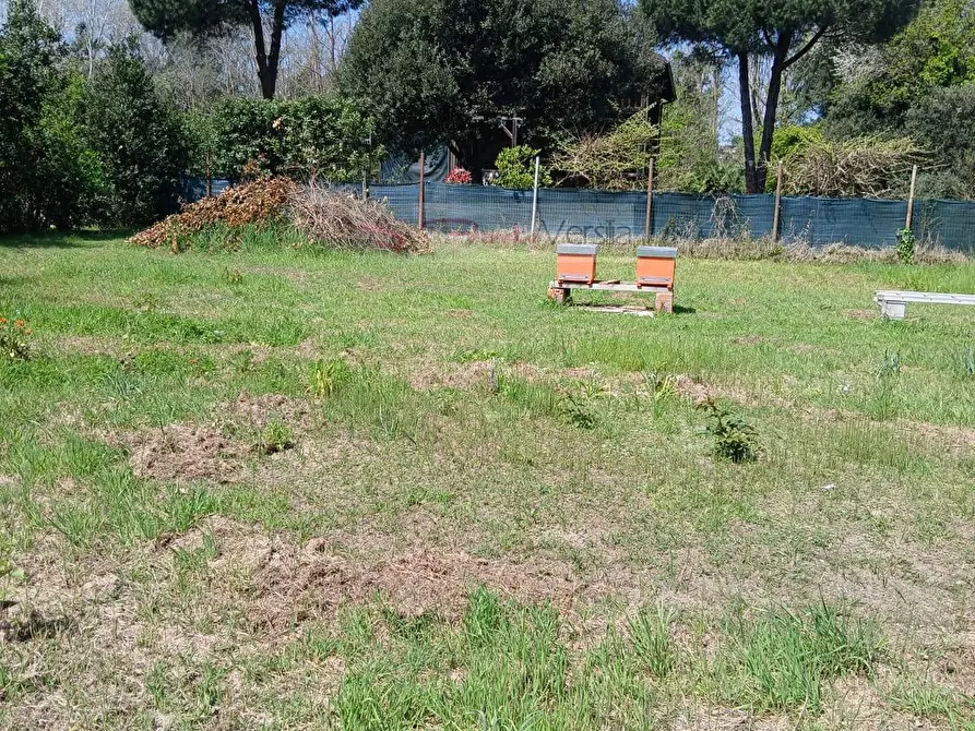 Immagine 12 di Terreno agricolo in vendita  a Montignoso