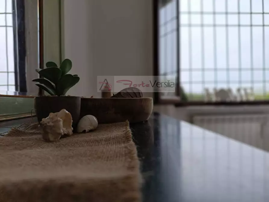 Immagine 26 di Villa in vendita  a Pietrasanta