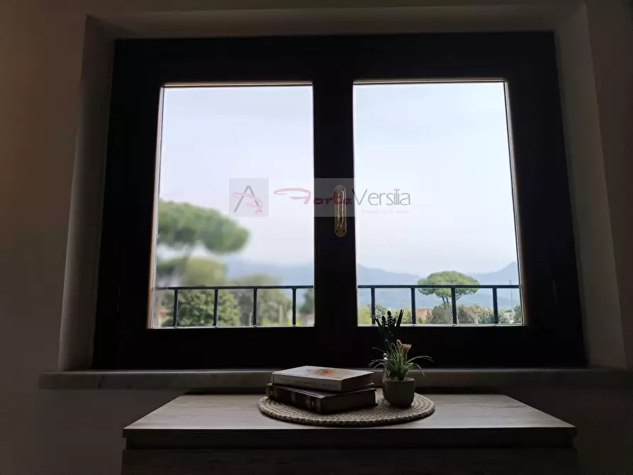 Immagine 28 di Villa in vendita  a Pietrasanta