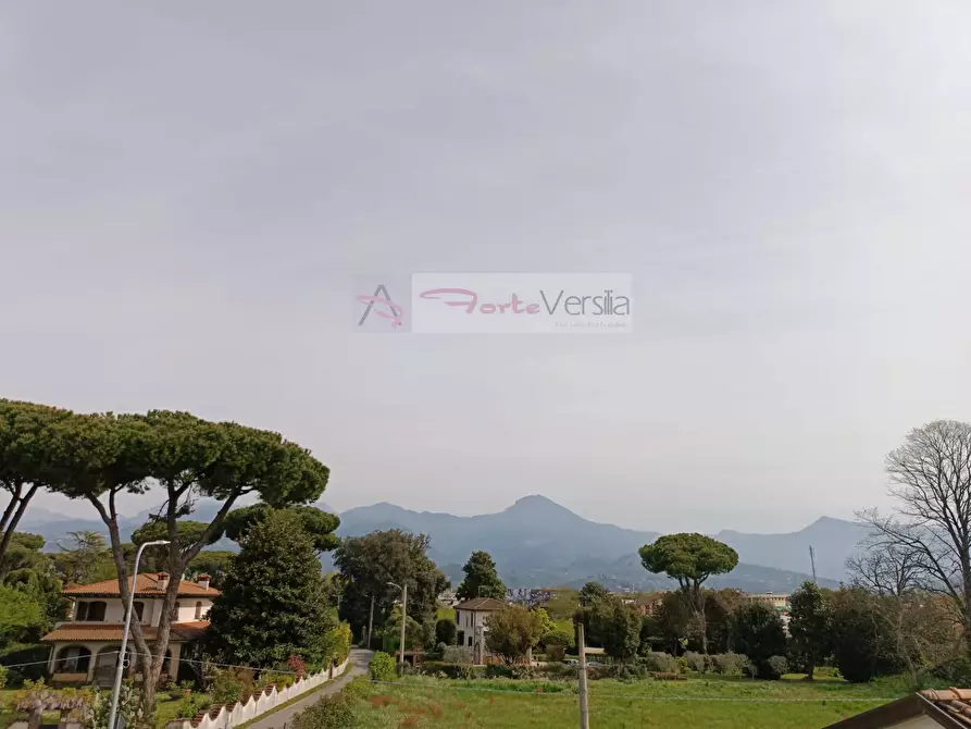 Immagine 36 di Villa in vendita  a Pietrasanta