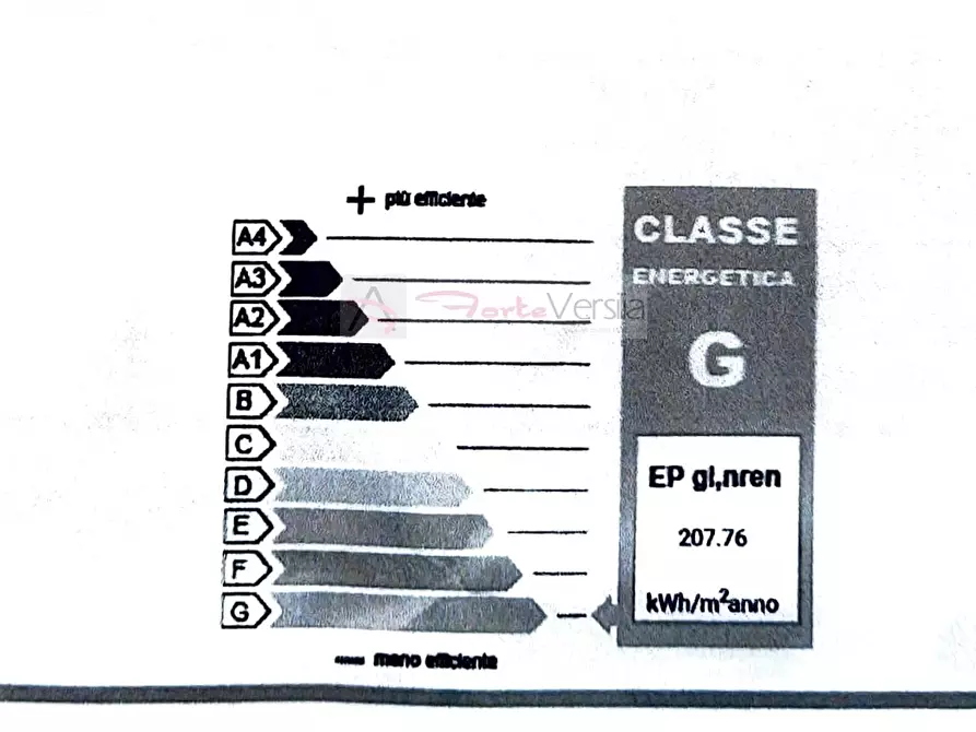 Immagine 38 di Villa in vendita  a Pietrasanta