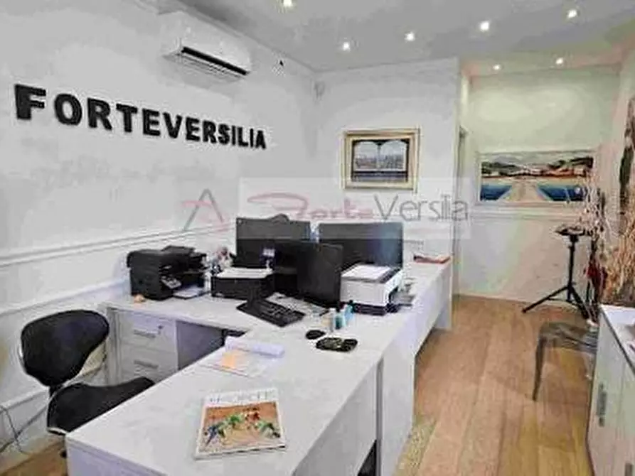 Immagine 16 di Villa in vendita  a Pietrasanta