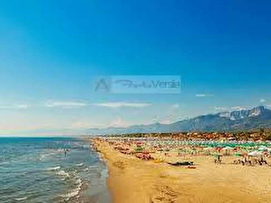 Immagine 18 di Villa in vendita  a Pietrasanta