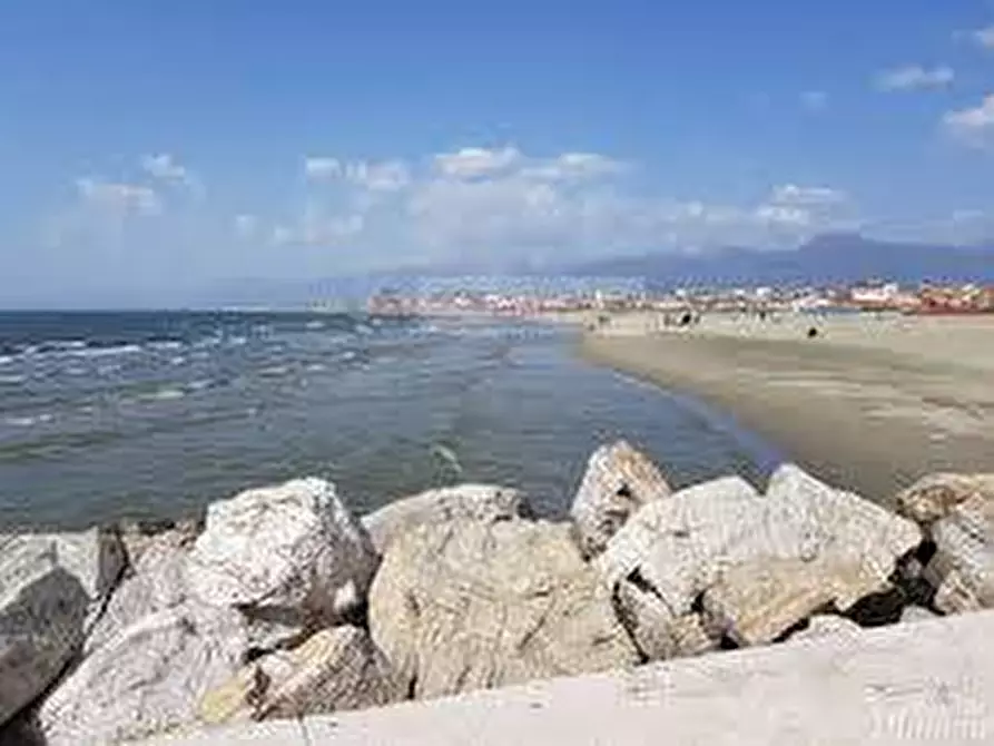 Immagine 27 di Villa in vendita  a Pietrasanta