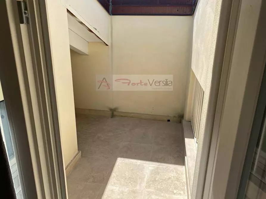 Immagine 29 di Villa in affitto  a Forte Dei Marmi