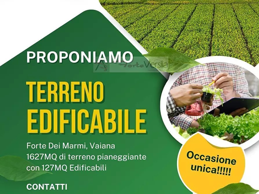 Immagine 1 di Terreno residenziale in vendita  a Forte Dei Marmi