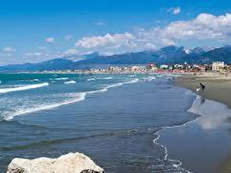 Immagine 7 di Terreno residenziale in vendita  a Forte Dei Marmi