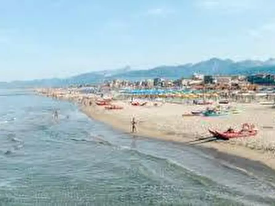 Immagine 13 di Terreno residenziale in vendita  a Forte Dei Marmi