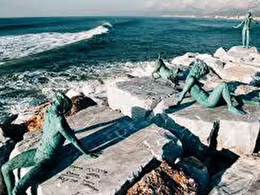 Immagine 24 di Terreno residenziale in vendita  a Forte Dei Marmi