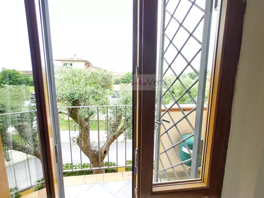 Immagine 20 di Villa in vendita  a Massa