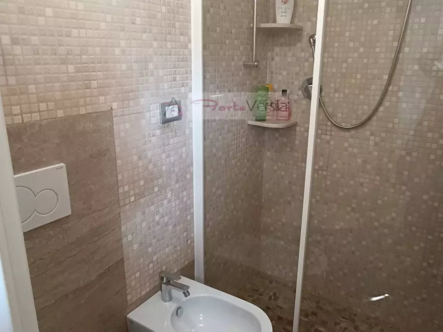 Immagine 12 di Appartamento in vendita  a Seravezza