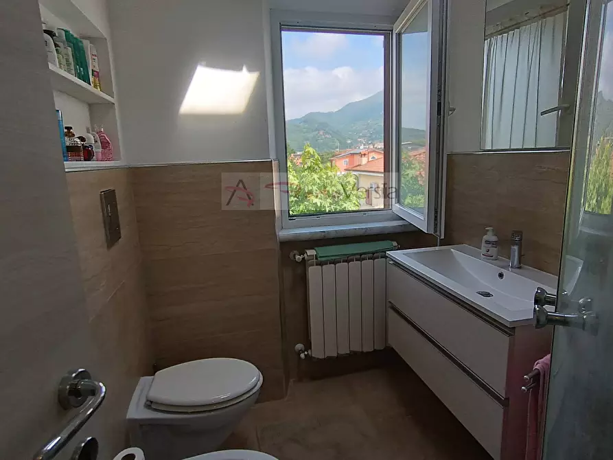 Immagine 33 di Appartamento in vendita  a Seravezza