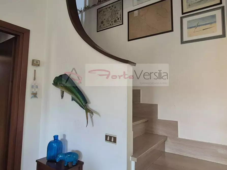 Immagine 37 di Villa in vendita  a Montignoso