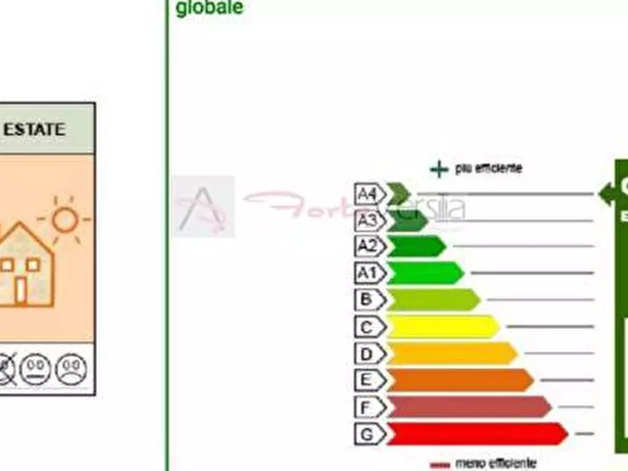 Immagine 34 di Casa indipendente in vendita  a Pietrasanta