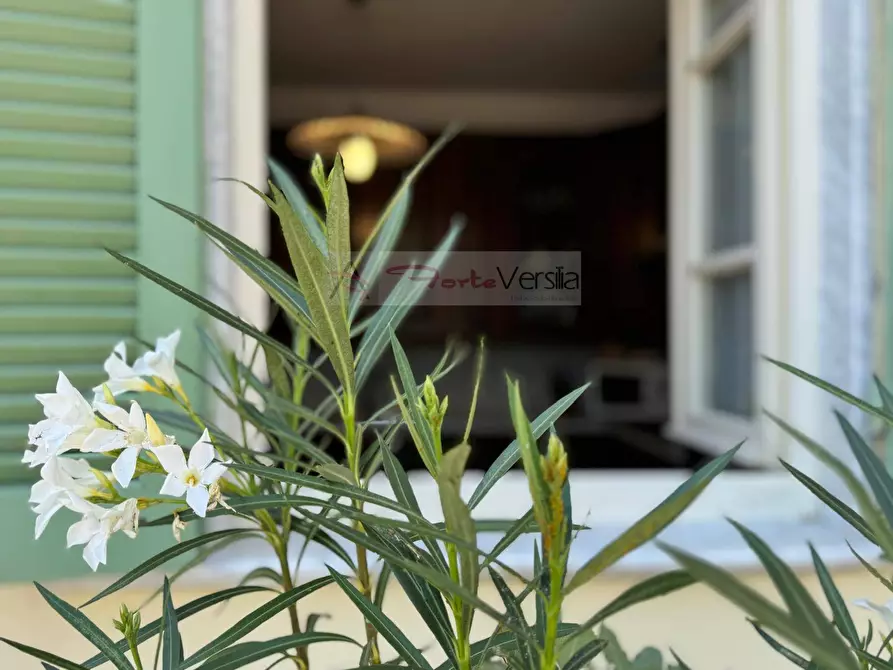 Immagine 20 di Casa indipendente in vendita  a Seravezza