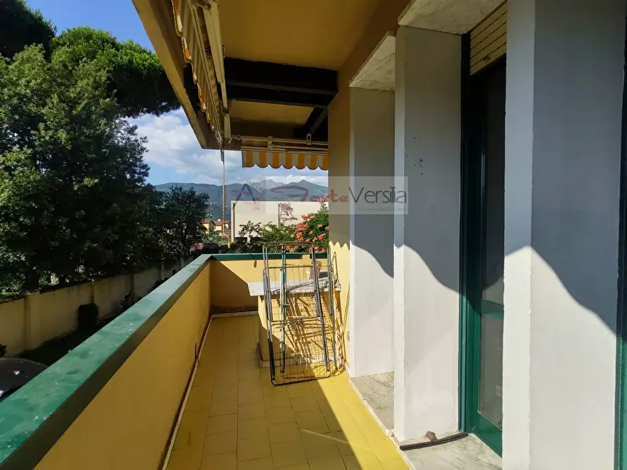 Immagine 16 di Appartamento in vendita  a Montignoso