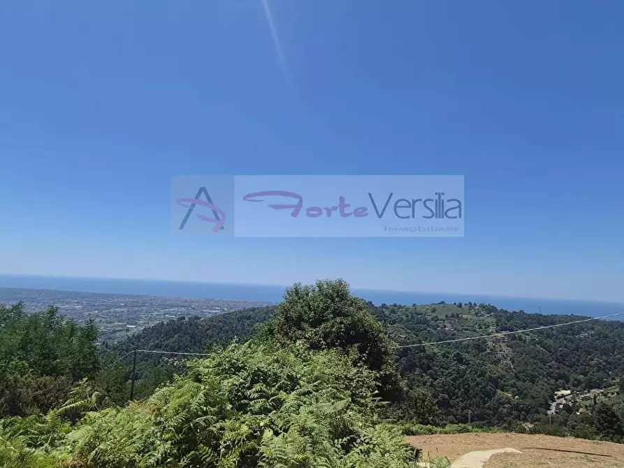 Immagine 6 di Rustico / casale in vendita  a Pietrasanta