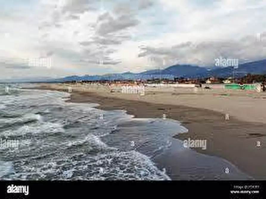 Immagine 21 di Appartamento in vendita  a Montignoso