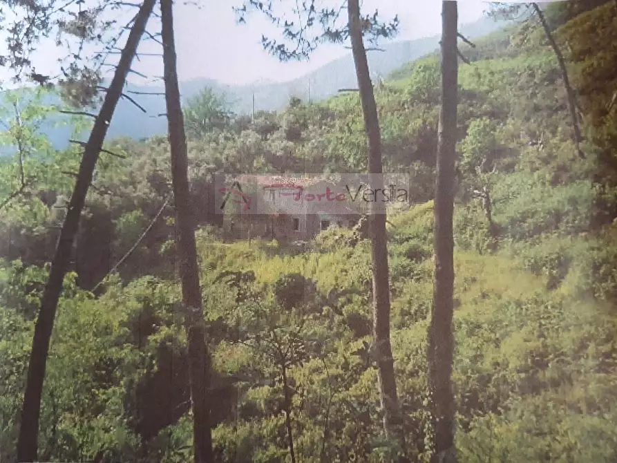 Immagine 3 di Rustico / casale in vendita  a Pietrasanta