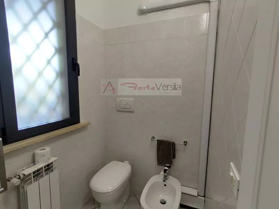 Immagine 9 di Appartamento in vendita  a Pietrasanta