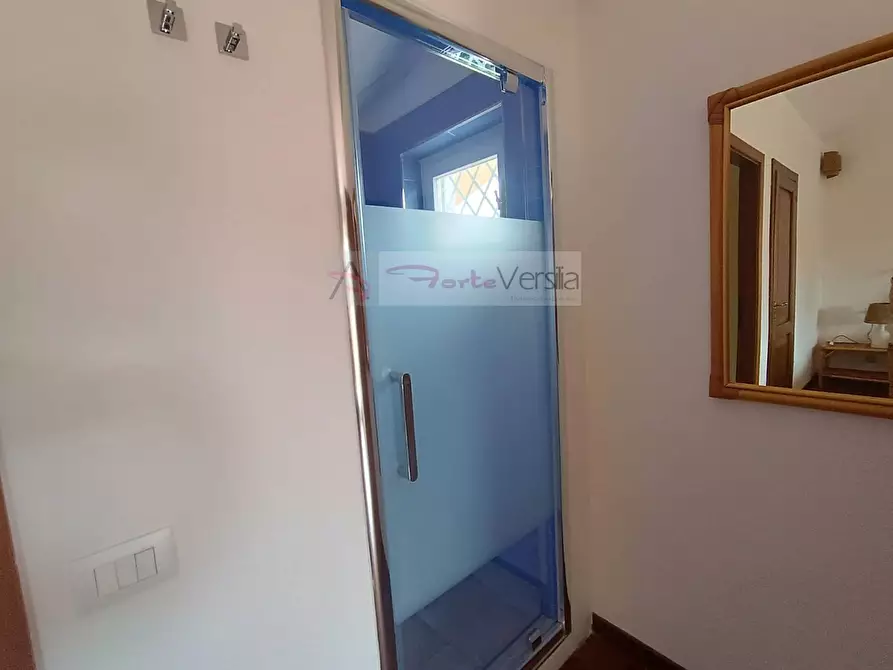 Immagine 21 di Villa in affitto  a Forte Dei Marmi