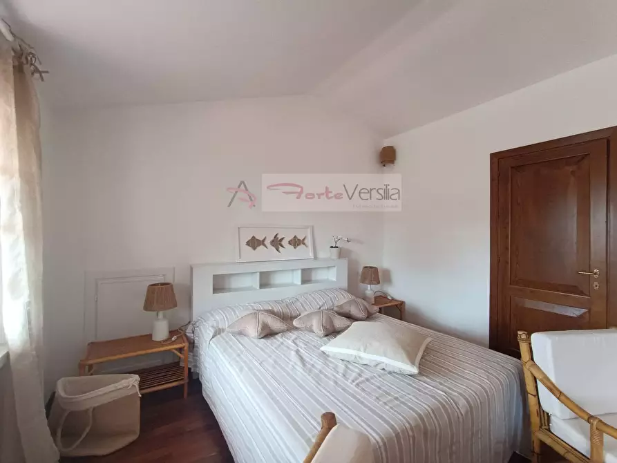 Immagine 17 di Villa in affitto  a Forte Dei Marmi