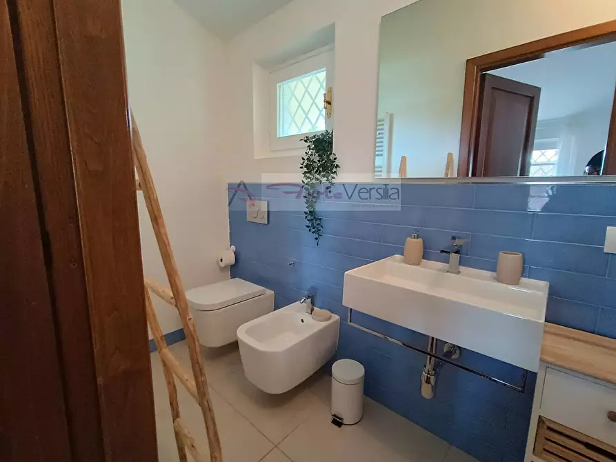 Immagine 20 di Villa in affitto  a Forte Dei Marmi