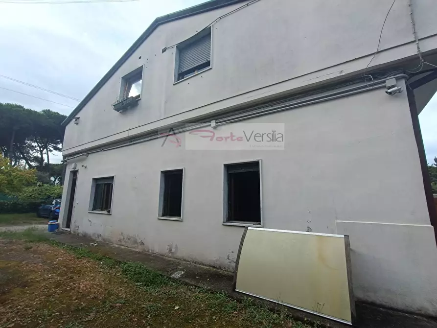 Immagine 19 di Villa in vendita  a Massa