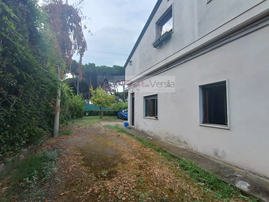 Immagine 21 di Villa in vendita  a Massa