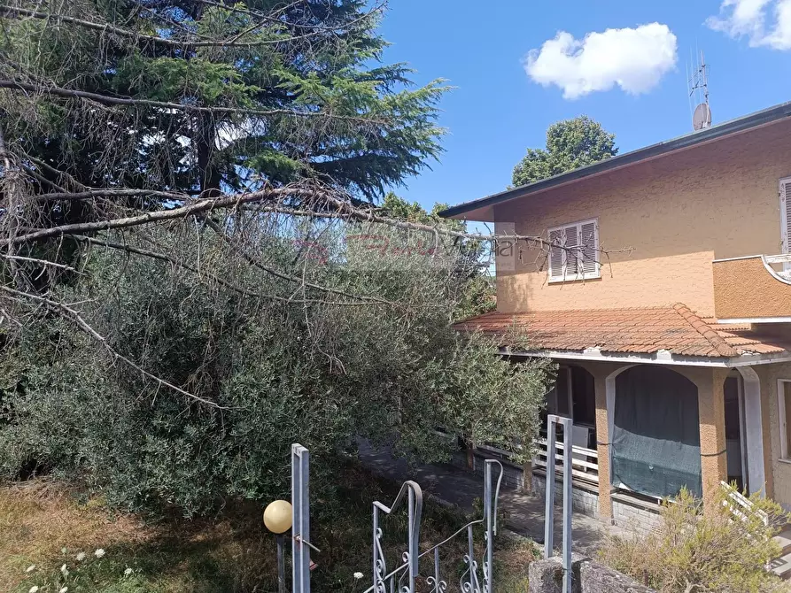 Immagine 3 di Villa in vendita  a Camaiore