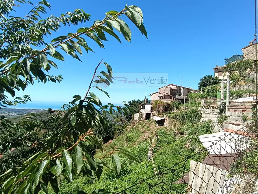 Immagine 2 di Casa semindipendente in vendita  a Pietrasanta