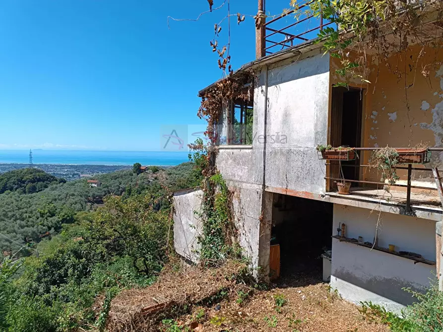 Immagine 5 di Casa semindipendente in vendita  a Pietrasanta