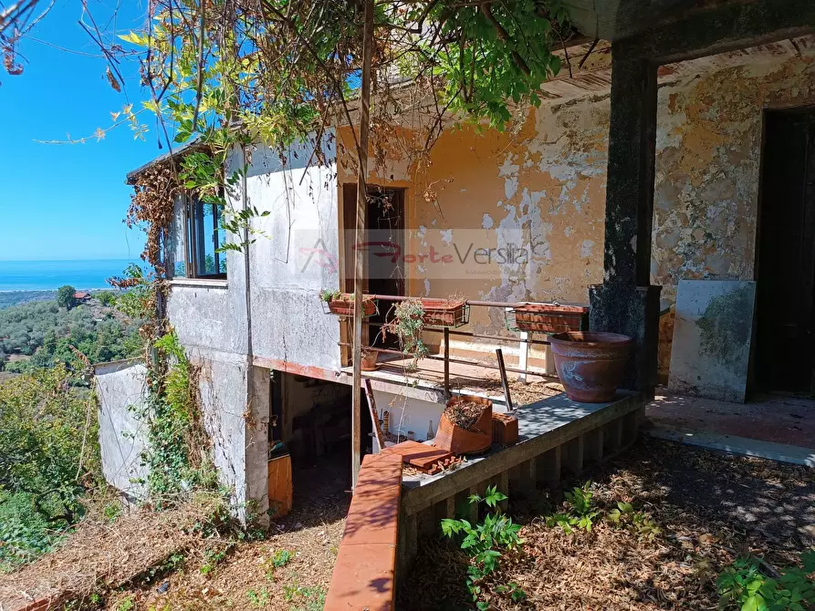 Immagine 4 di Casa semindipendente in vendita  a Pietrasanta