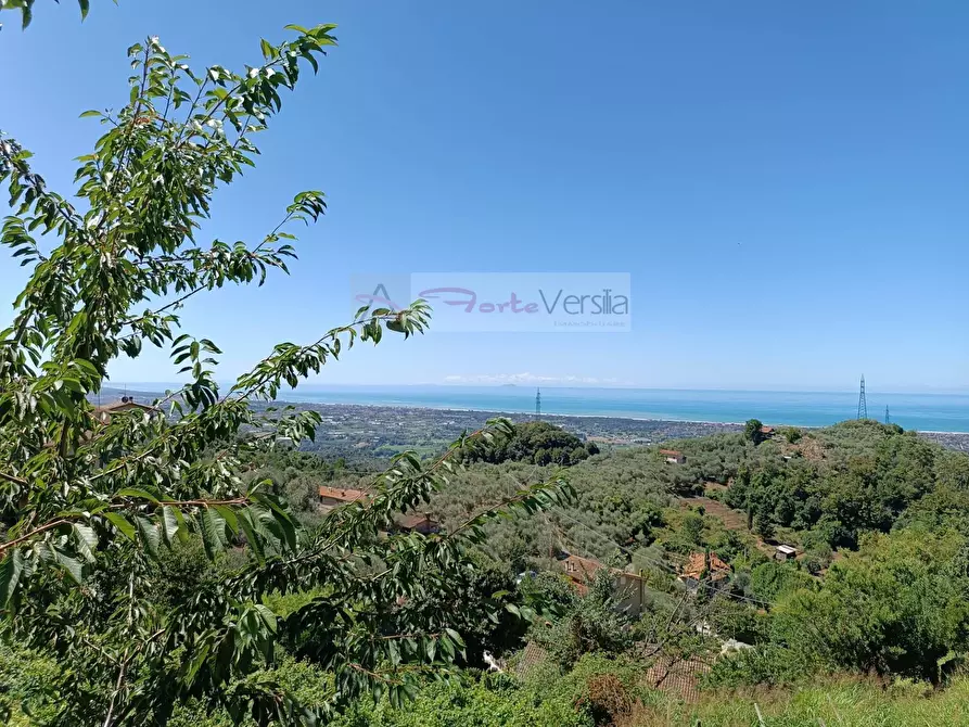 Immagine 10 di Casa semindipendente in vendita  a Pietrasanta
